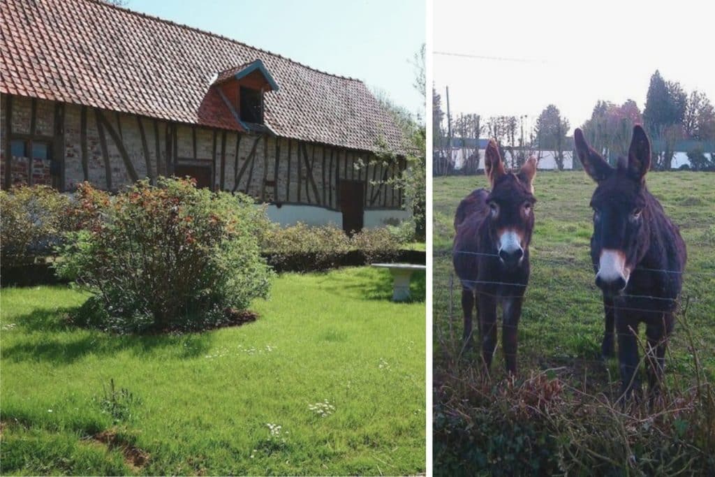 corp ferme tigny ane champ gîte locatif