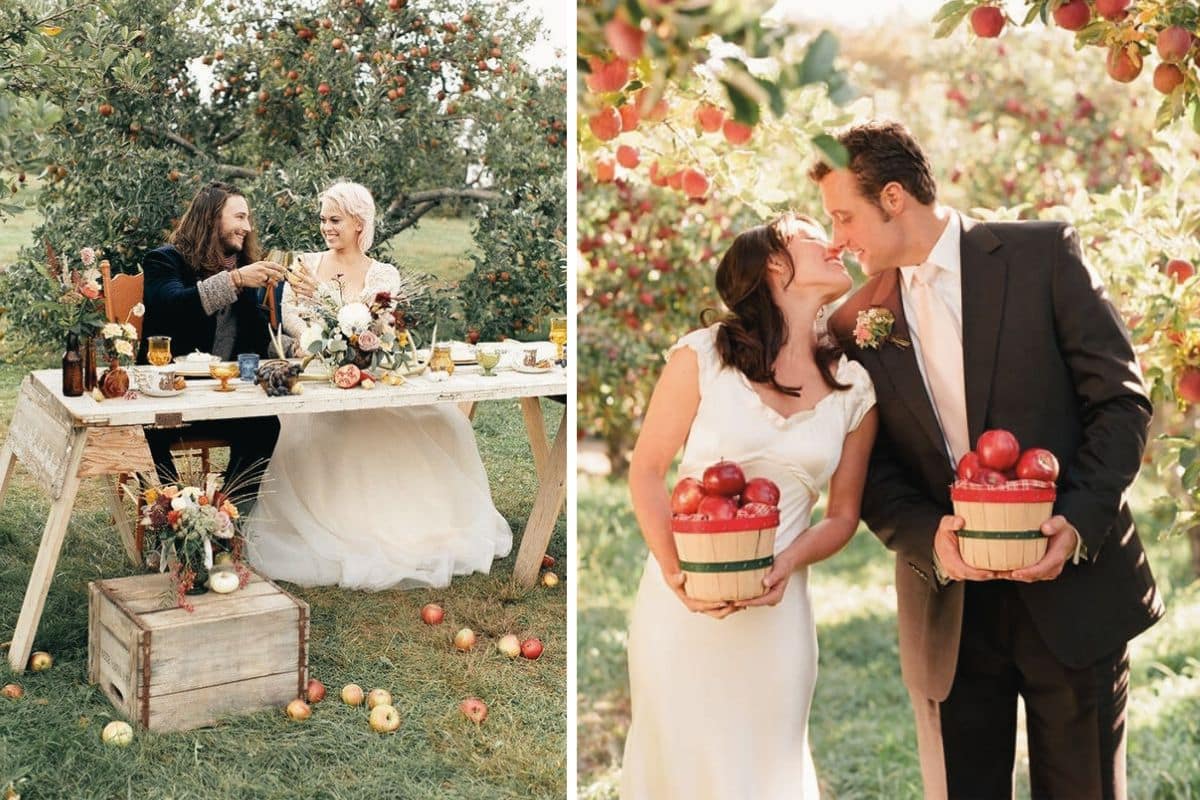 Mariage champêtre au printemps sous les arbres en fleurs d'un verger