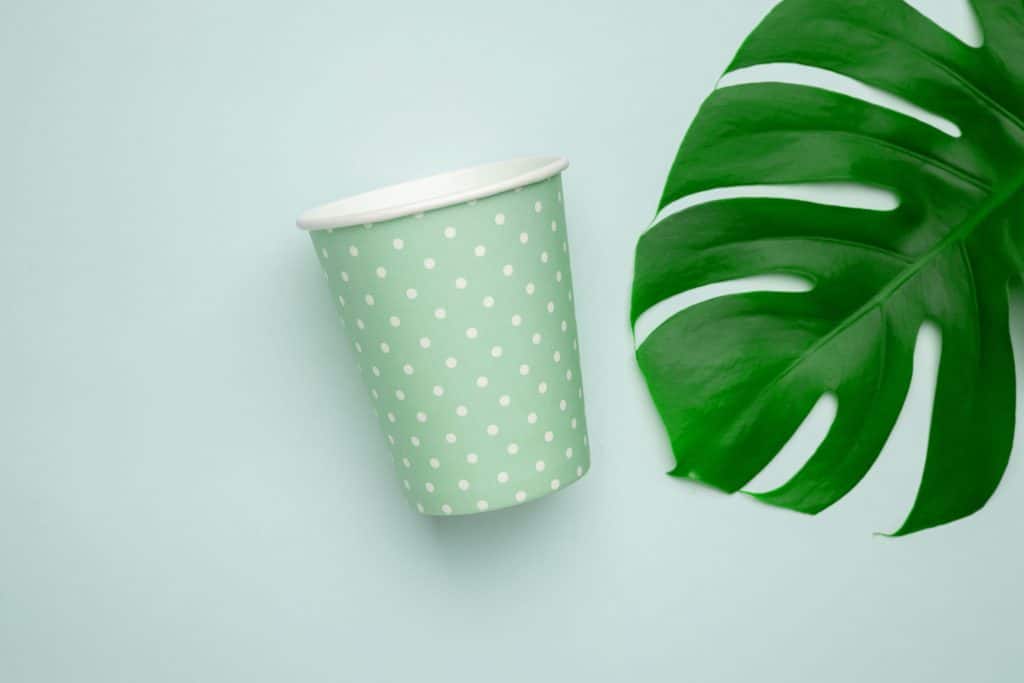 gobelet eco responsable carton couleur verte fete